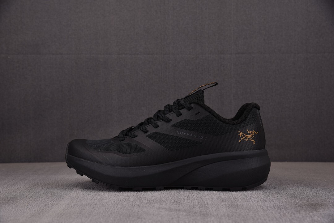 [GD] 아크테릭스 노반 LD 3 트레킹화 블랙 골드 (남여공용)